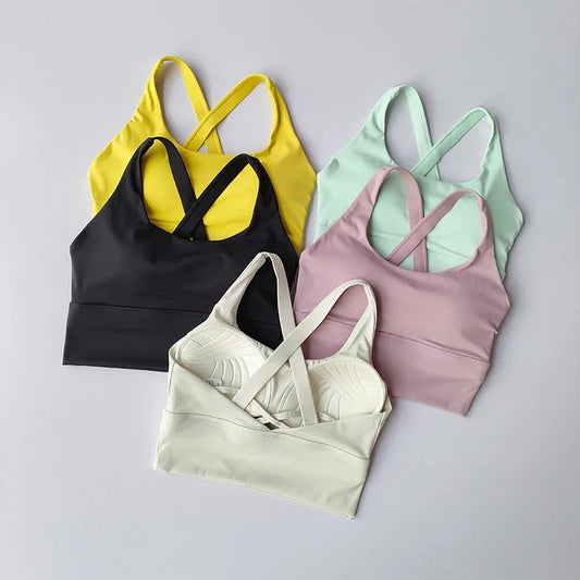 Sports Bra Collection Breast High