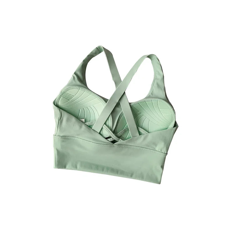 Sports Bra Collection Breast High